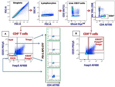 Changes in Frequency and Activation Status of Major CD4+ T-Cell Subsets after Initiation of Immunosuppressive Therapy in a Patient with New Diagnosis Childhood-Onset Systemic Lupus Erythematosus